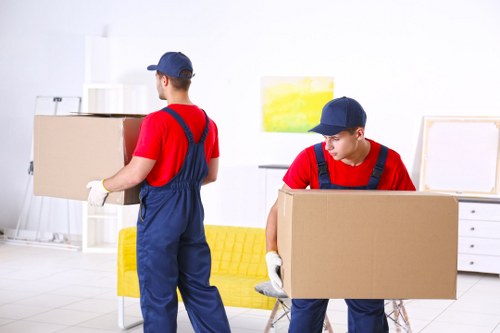 Professional house removals in Lee with moving boxes and a removal van