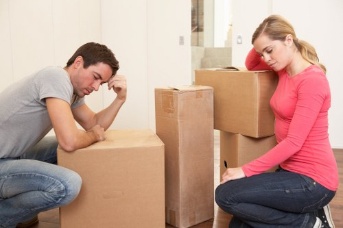 Flexible man with van support in Lee for household and business items