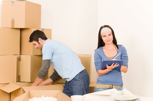 Eco-friendly packing boxes and wrapping materials for storage