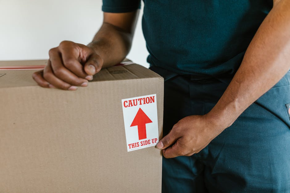 Two movers from Man and Van Lee are inside a well-lit room with white walls and large arched windows, engaged in a home relocation process. One mover, with curly hair and a beard, is holding a large c